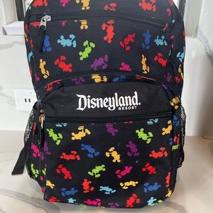 Black Disneyland backpack with four compartments